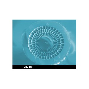http://www.aoetech.com/513-853-thickbox/microstructured-fibers.jpg