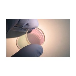 http://www.aoetech.com/526-874-thickbox/silicon-etalons.jpg