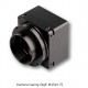 GigE Vision Line Scan Cameras