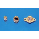 InGaAs Thermoelectric Cooled Photodiodes