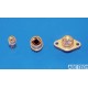 InGaAs Thermoelectric Cooled Photodiodes