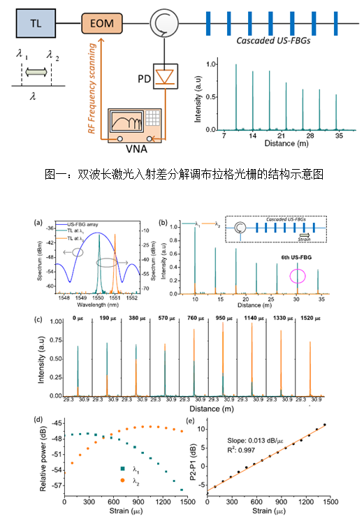图一:双波长激光入射差分解调布拉格光栅的结构示意图