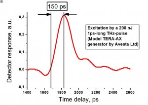 Ultrafast Terahertz detectors